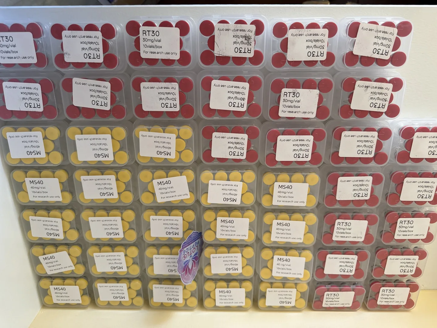Retatrutide 30 mg (red caps, cases labeled RT30) and MOTS-C 40 mg (yellow caps, cases labeled MS40), stacked in clear 10-vial cases with our LotusPeptide sticker
